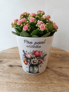 Květináč pro paní učitelku